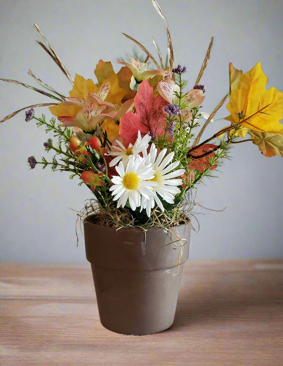 TTD-112 Segue into Autumn