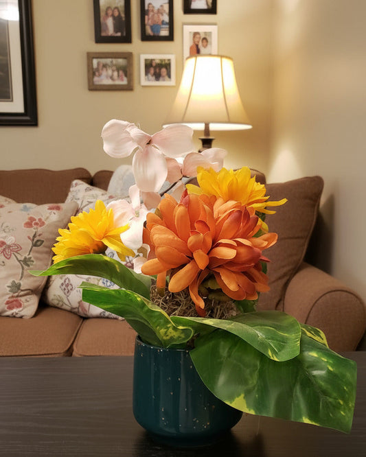 TTD-133 – Fall in a Cup!