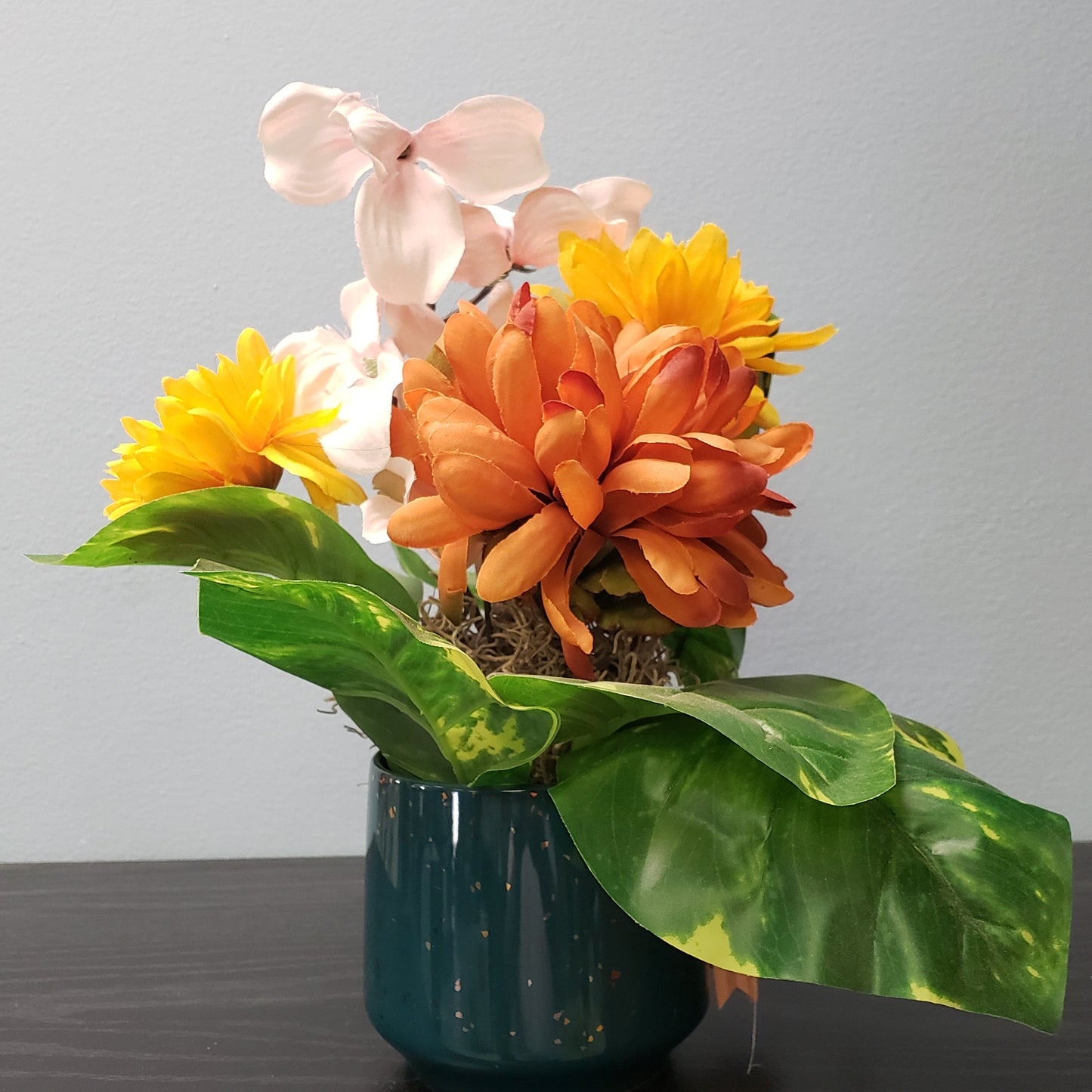 TTD-133 – Fall in a Cup!